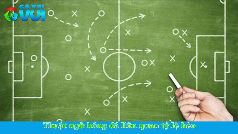Top các thuật ngữ cược bóng đá có ý nghĩa cho bet thủ 2 Thuật ngữ bóng đá liên quan tỷ lệ kèo