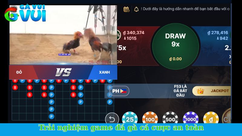 GVUI - Nhà cái chất lượng, hoạt động uy tín và an toàn 4 Trải nghiệm game đá gà cá cược an toàn