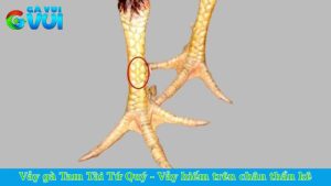 Vảy gà Tam Tài Tứ Quý